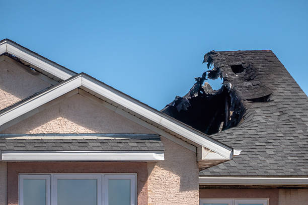 Top rated local Odor Removal specialists in Germantown, WI